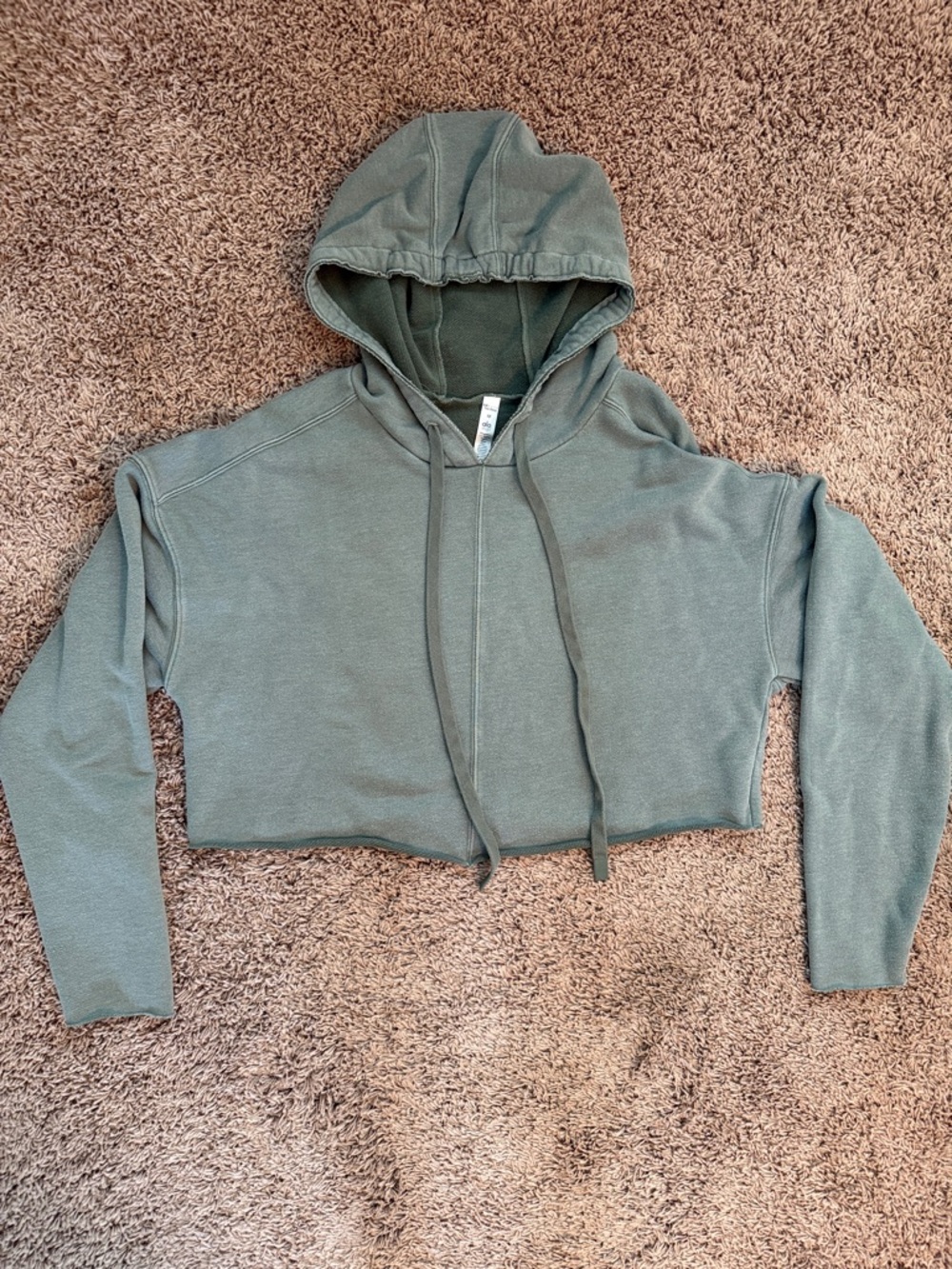 ALO Yoga Cropped Hoodie - Sage